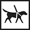 Guide Dogs